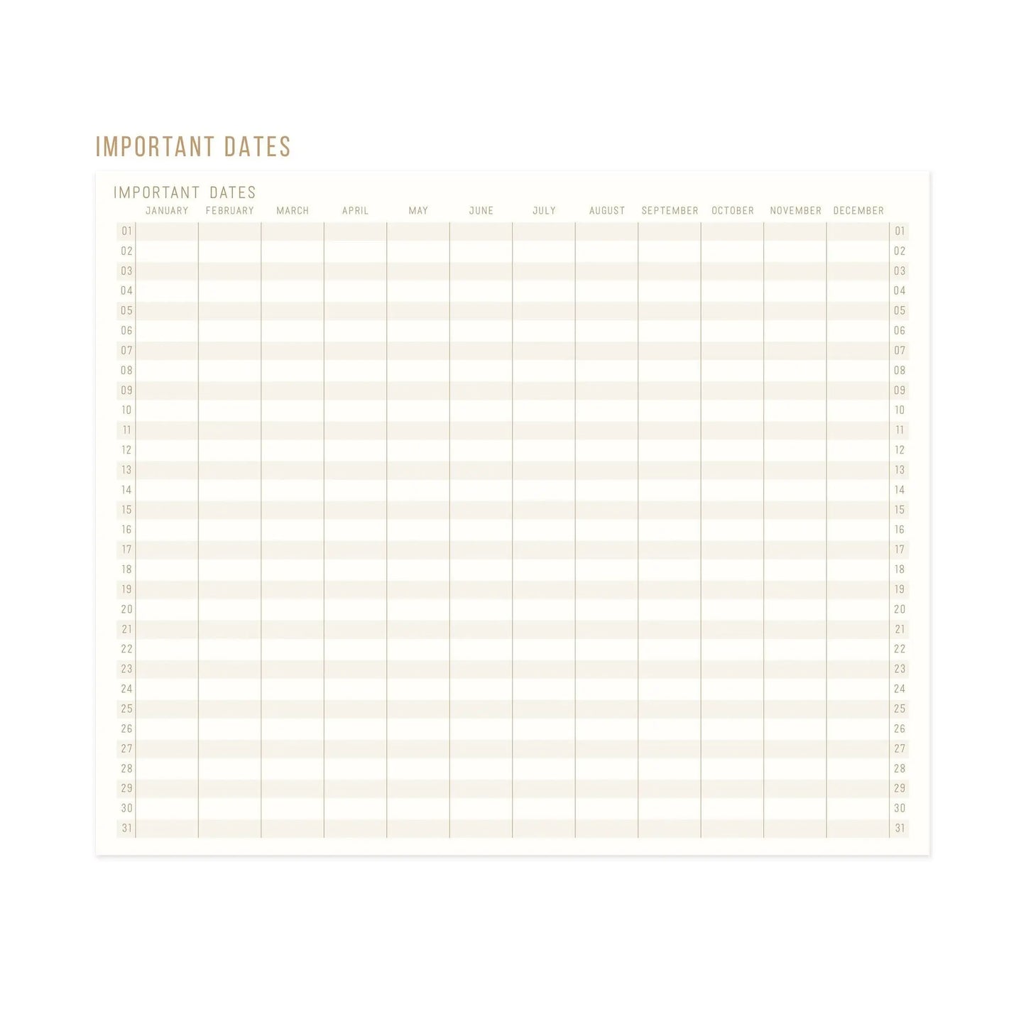 DESIGNWORKS Faces Cloth Journal journal Designworks Ink