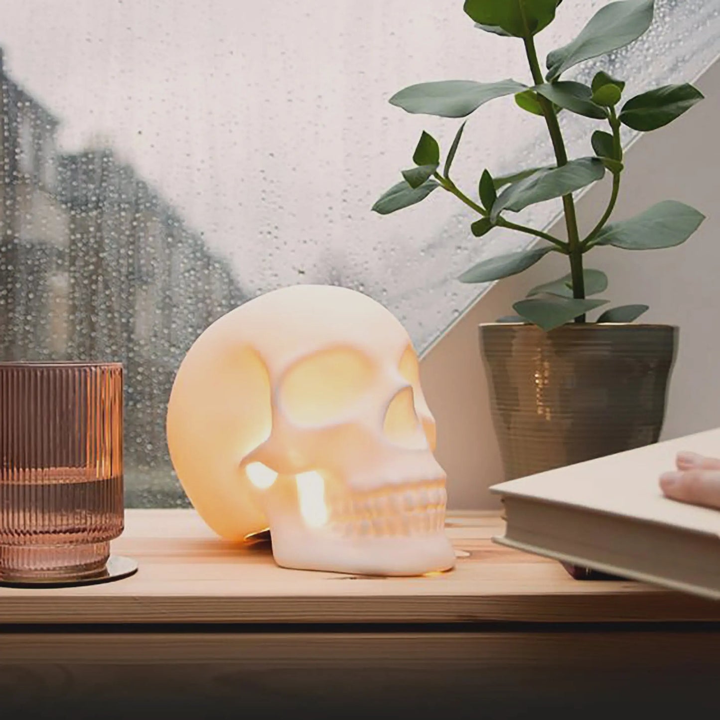 Skull Light Suck UK