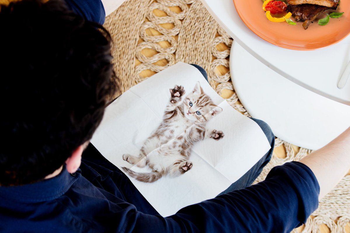 SUCK UK Cat Napkins Napkin Suck UK