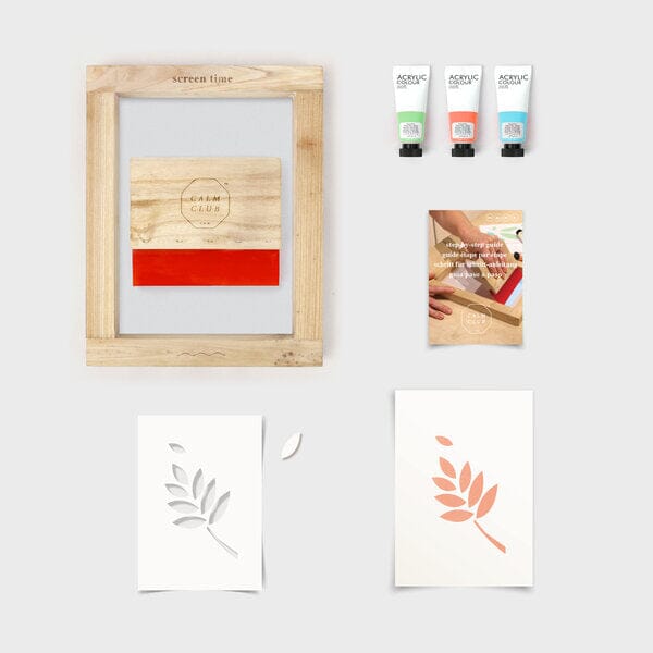 Screen Time Printing Kit Screen Printing Kit Suck UK