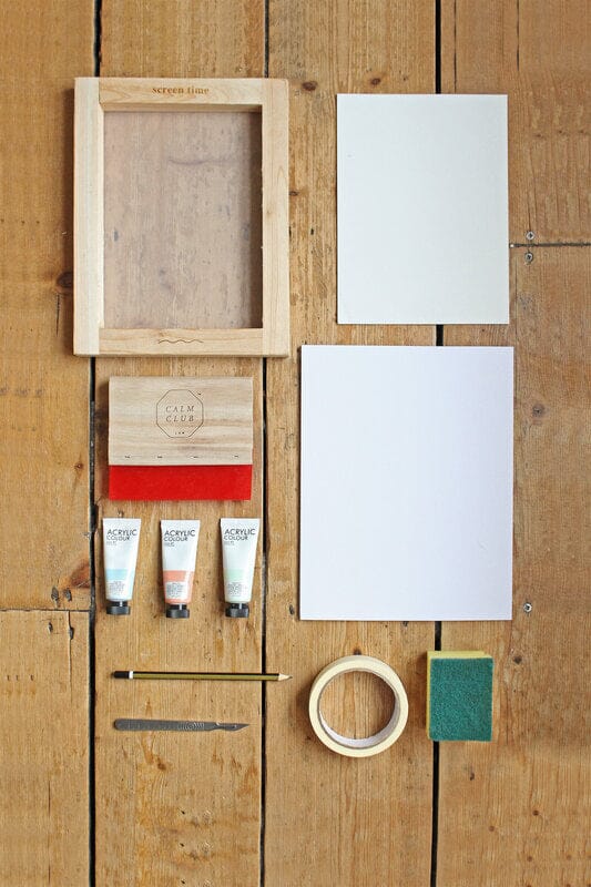 Screen Time Printing Kit Screen Printing Kit Suck UK
