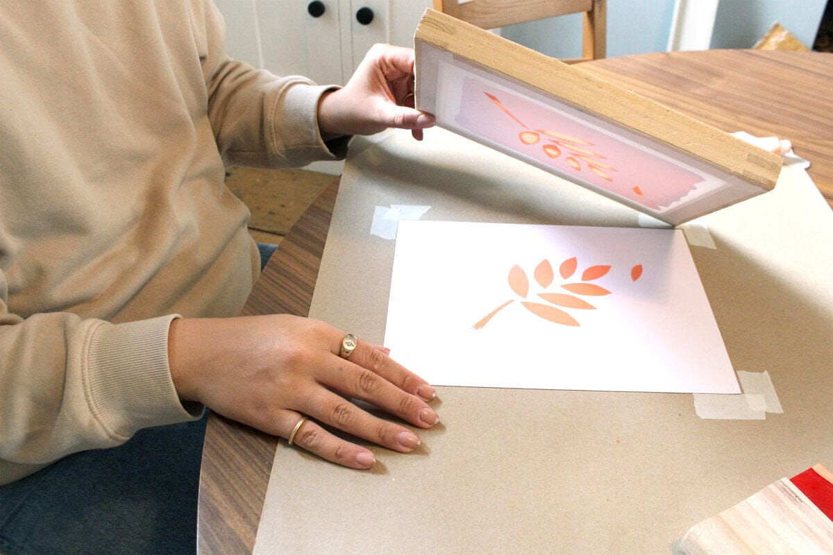 Screen Time Printing Kit Screen Printing Kit Suck UK