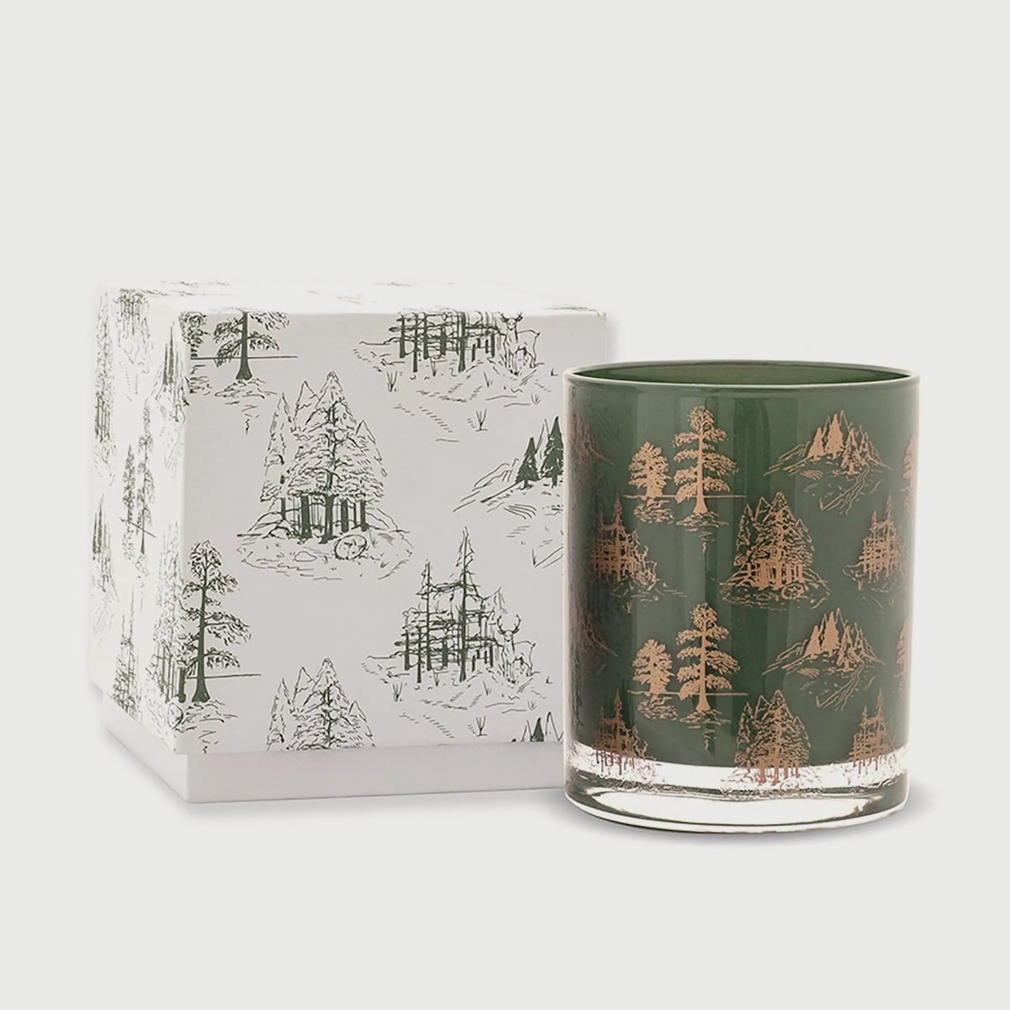 Cypress & Fir Holiday Boxed Glass Candle Paddywax