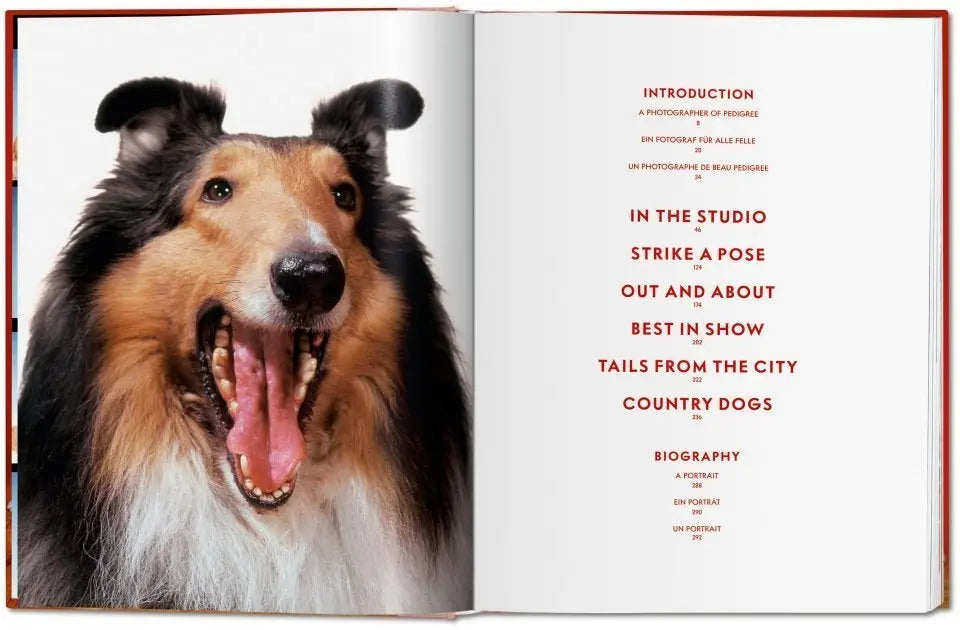 WALTER CHANDOHA Dogs Photographs 1941-1991 Books Taschen