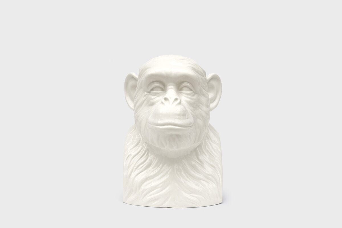 Chimp Tidy Desk Tidy Suck UK