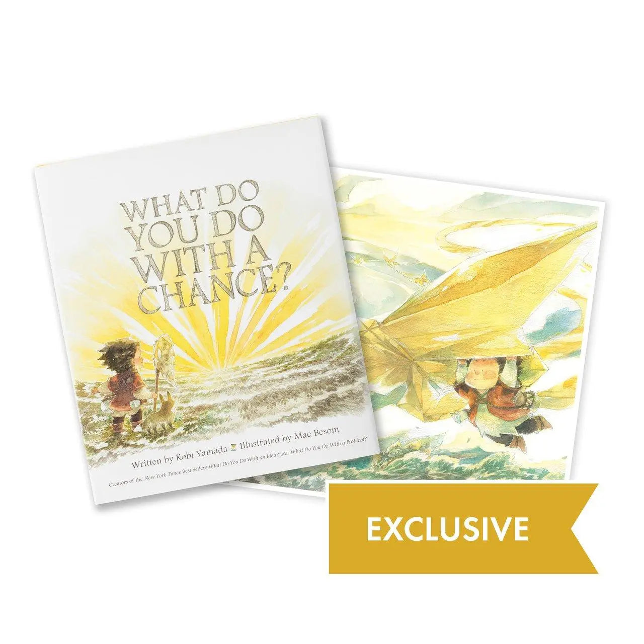 What Do You Do With A Chance? - Illustrated Book Books Compendium