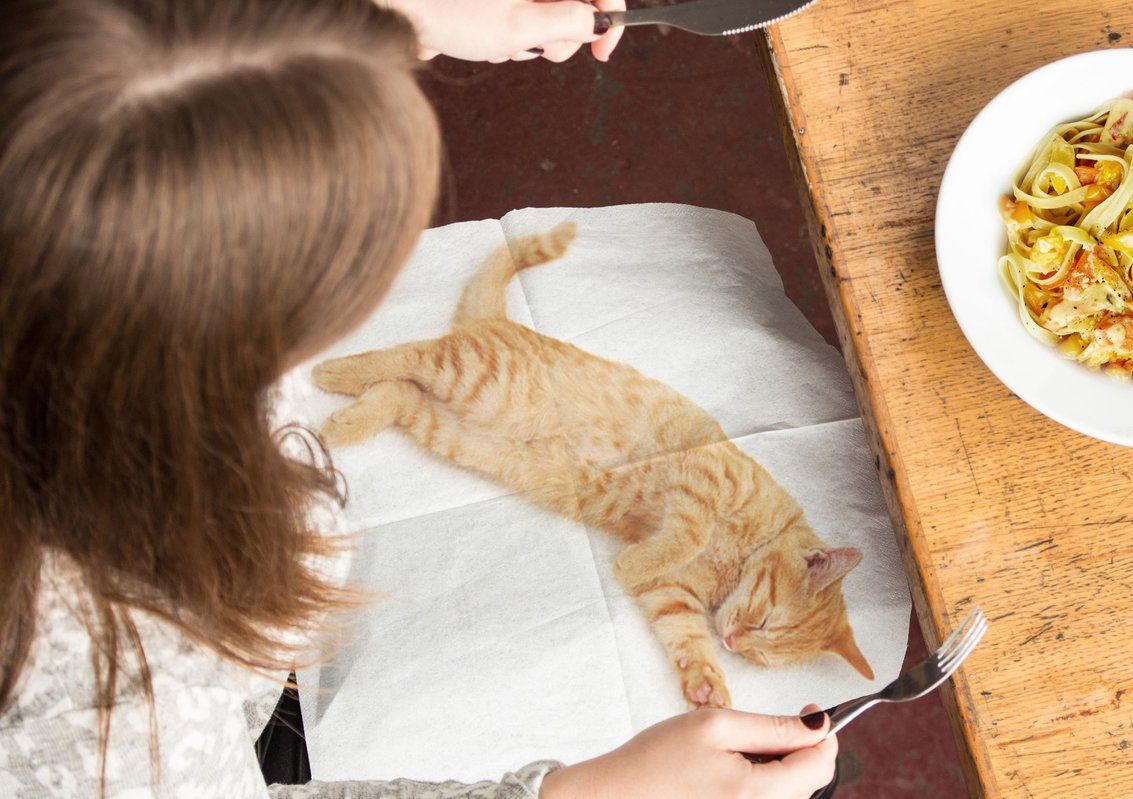SUCK UK Cat Napkins Napkin Suck UK