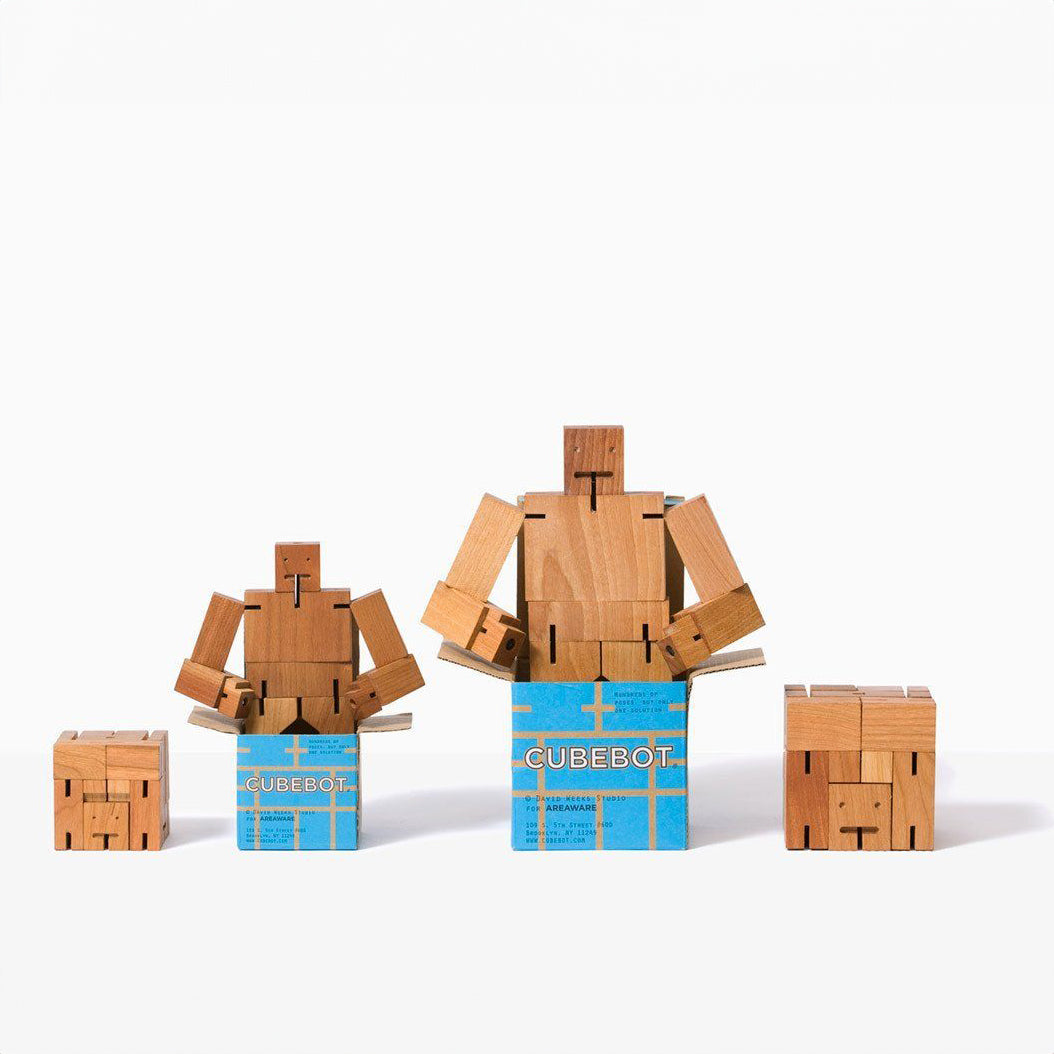 Cubebot - Small