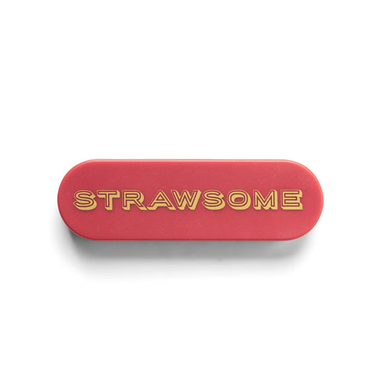 DESIGNWORKS INK - "Strawsome" Portable Straw Straw Designworks Ink 