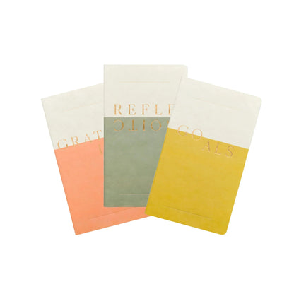 Set of 3 Single Flex Undated Planners - Wellness (Reflections, Goals, Gratitude) Notebook Set Designworks Ink 