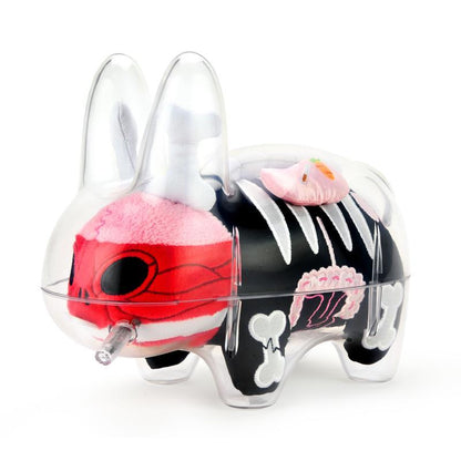 The Visible Labbit
