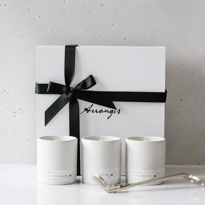 Discovery Journey Gift Set - Aerangis LLC