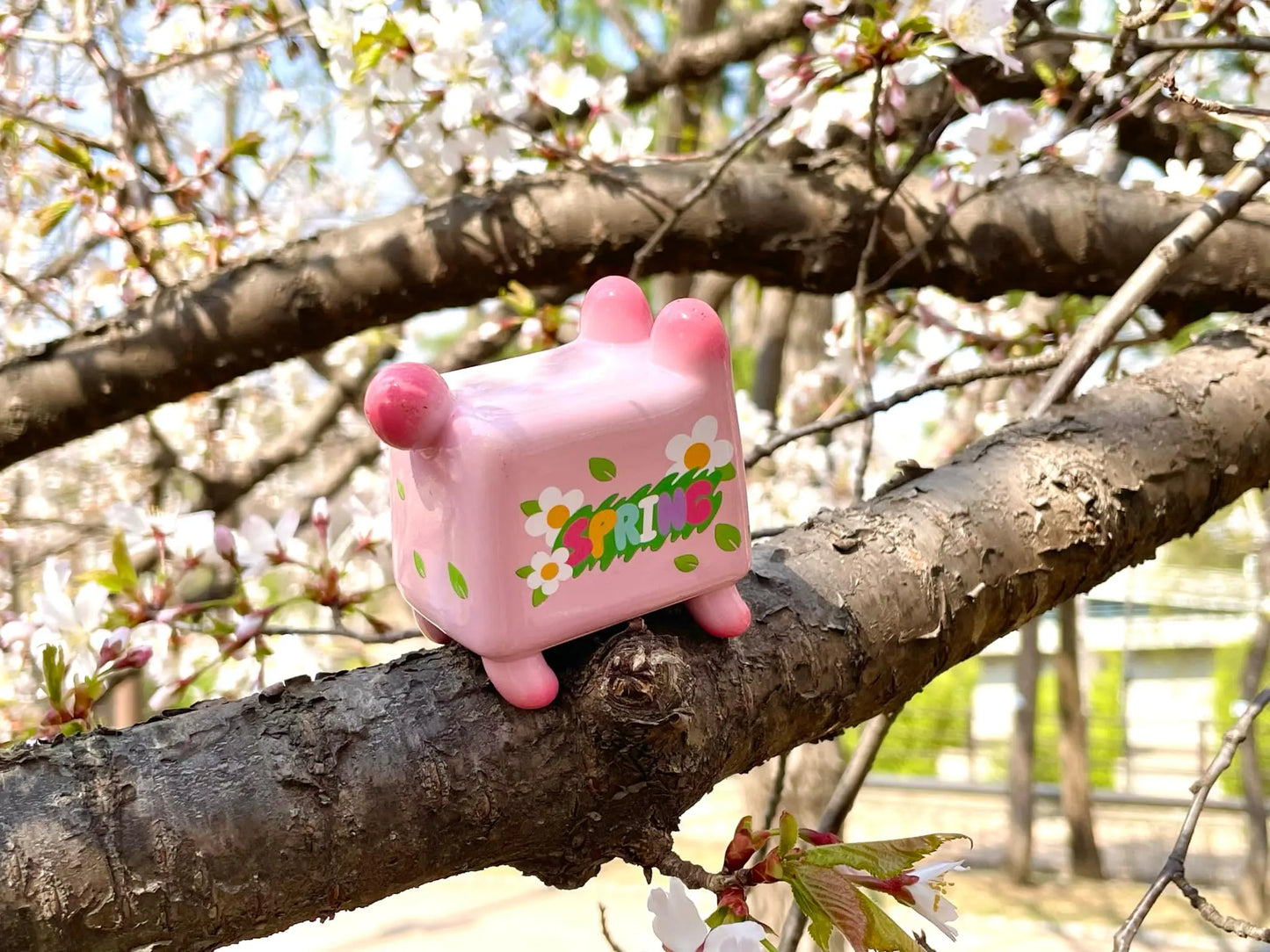 Box Bear - Sakura Spring Ver. by Rato Kim
