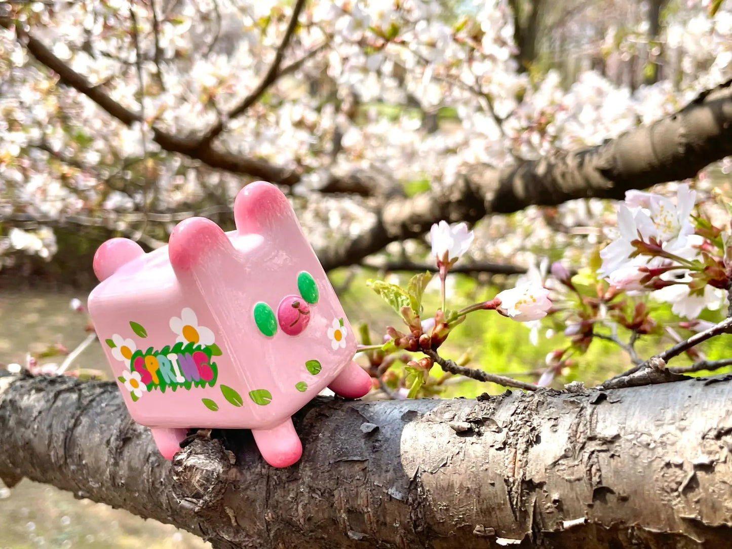 Box Bear - Sakura Spring Ver. by Rato Kim