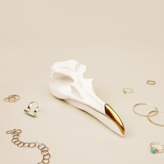 Bird Skull Jewelry Tidy