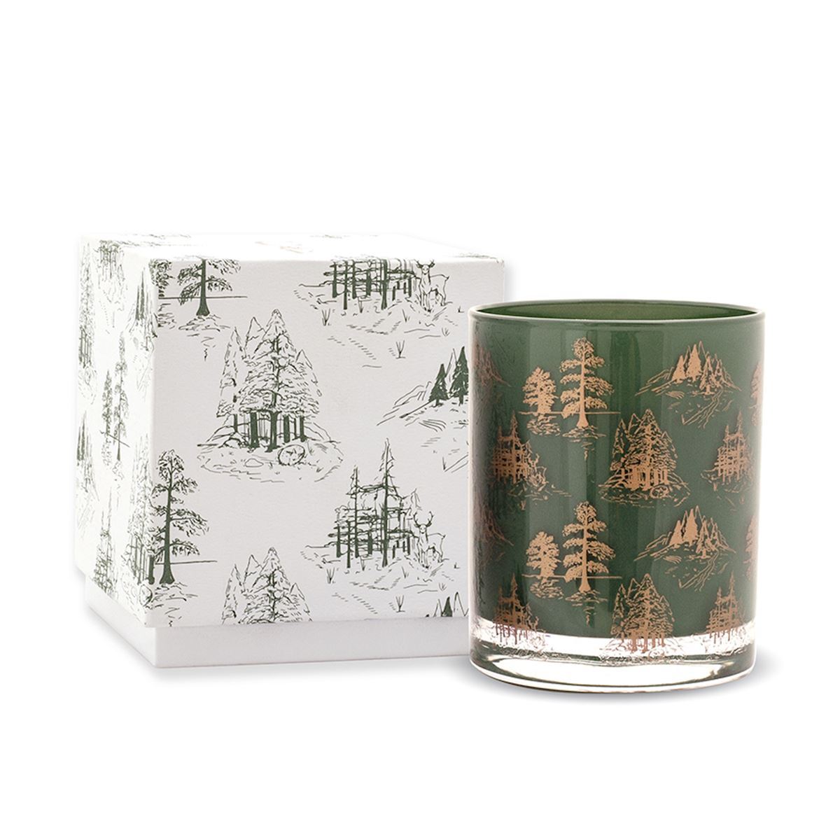 PADDYWAX - Cypress & Fir Holiday Boxed Glass Candle Candle Paddywax 