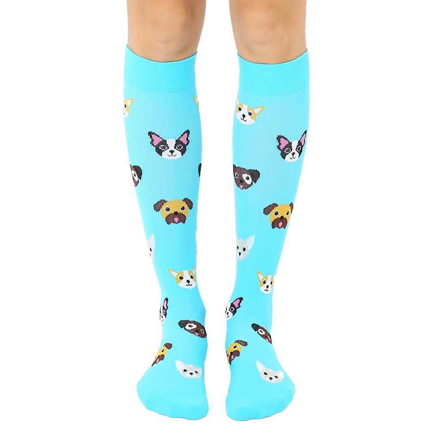 Dog Compression Socks