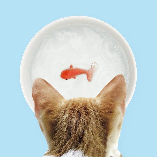 SUCK UK Goldfish Pet Water Bowl Bowl Suck UK 