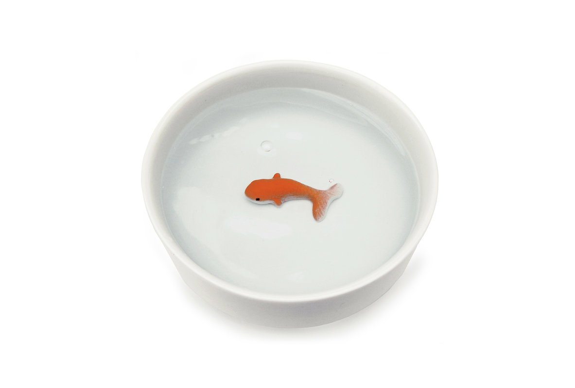 SUCK UK Goldfish Pet Water Bowl Bowl Suck UK 