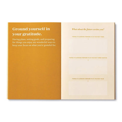 True Gratitude - Activity Journal Books Compendium 