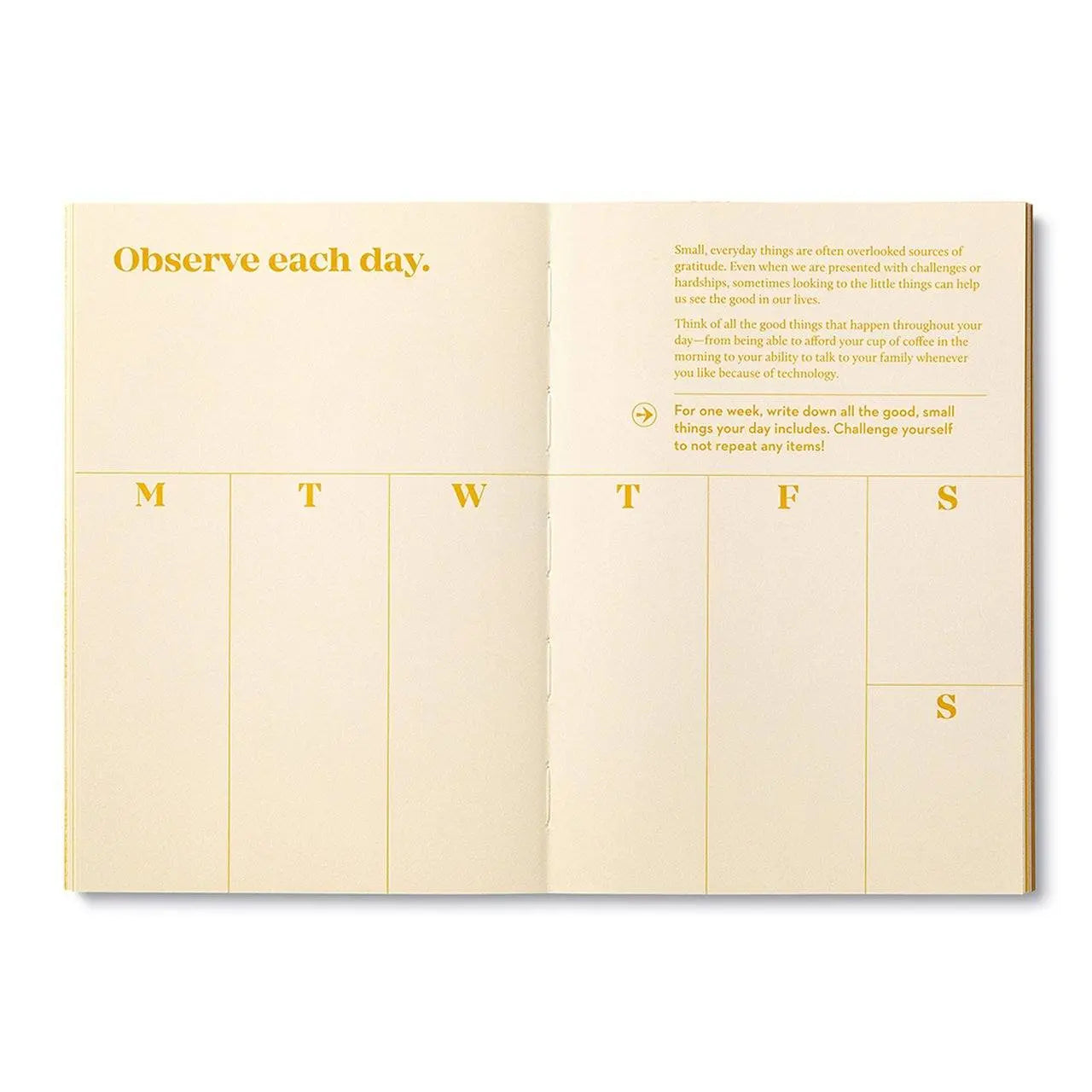 True Gratitude - Activity Journal Books Compendium 