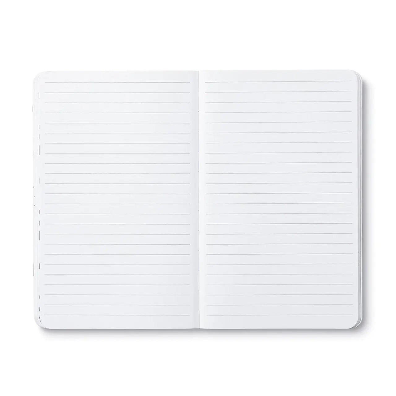 “There Are No Ordinary Cats.” Colette - Write Now Journal Books Compendium 