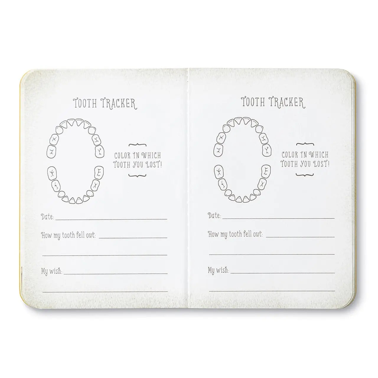 The Tooth Fairy Kit - Gift Set Books Compendium 