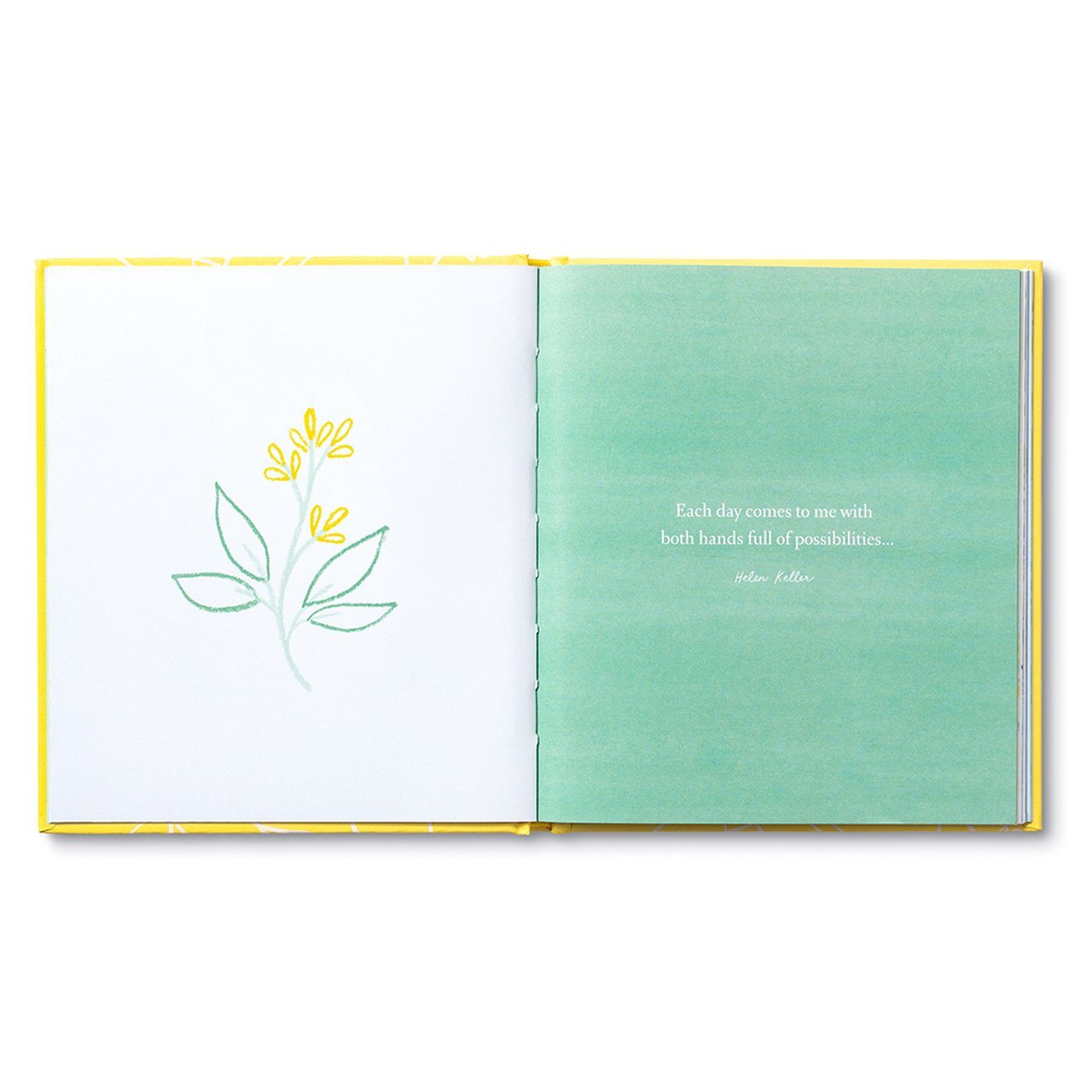 Happily Grateful - Book Books Compendium 