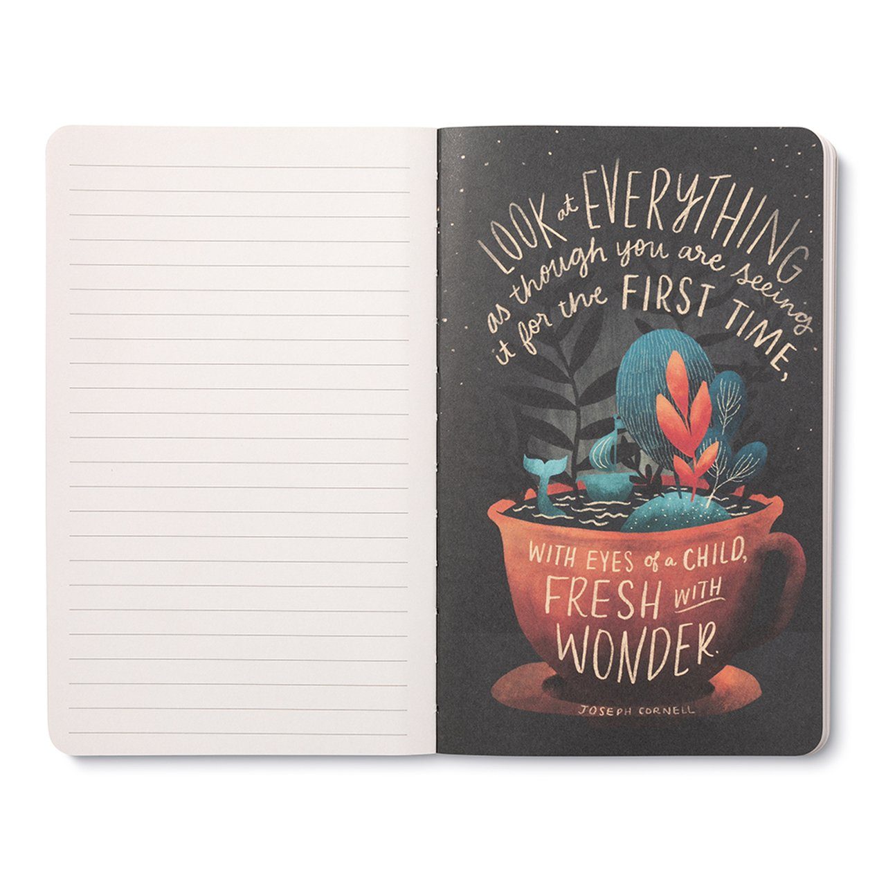 “The Universe Is Full Of Magical Things.” Eden Phillpotts - Write Now Journal Books Compendium 