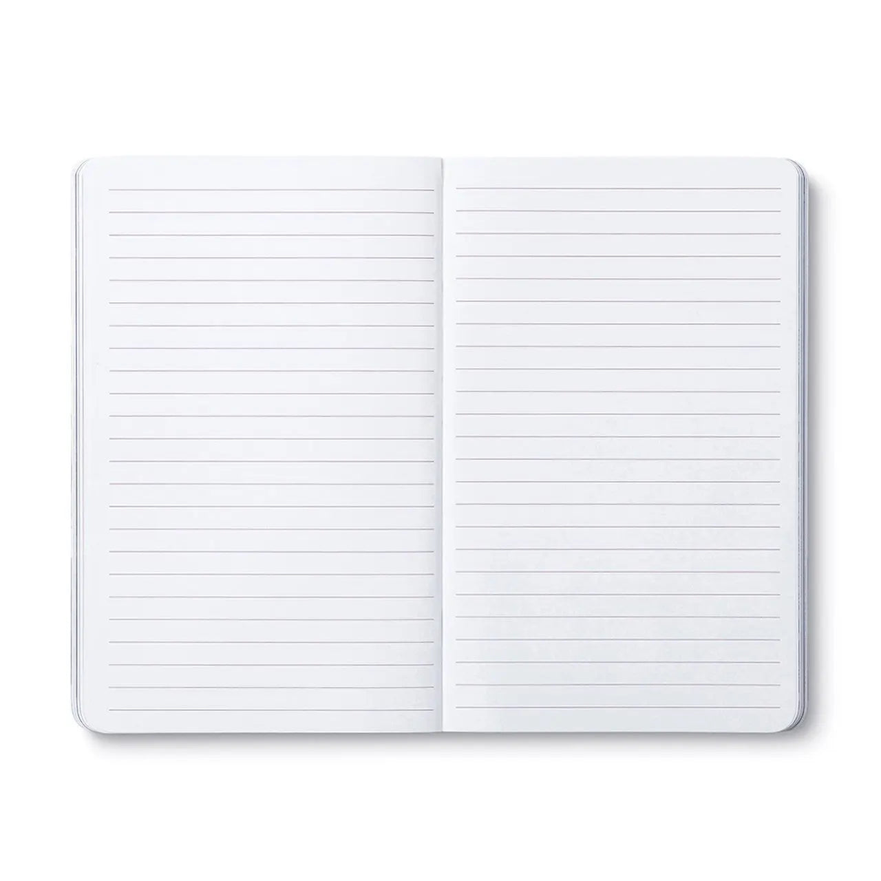 “Quite The Mind, And The Soul Will Speak”. - Ma Jaya Sati Bhagavati - Write Now Journal Books Compendium 