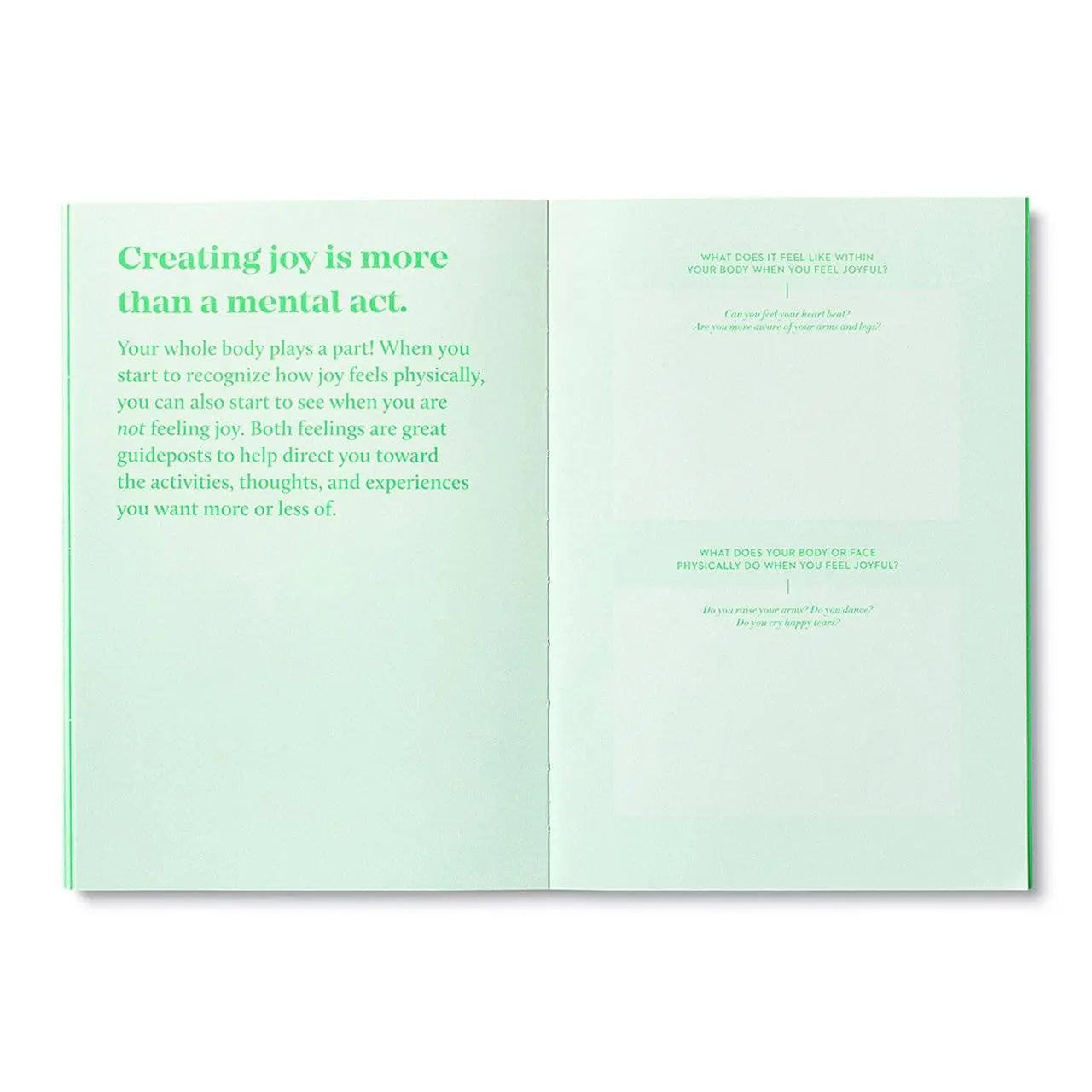 True Joy - Activity Journal Books Compendium 