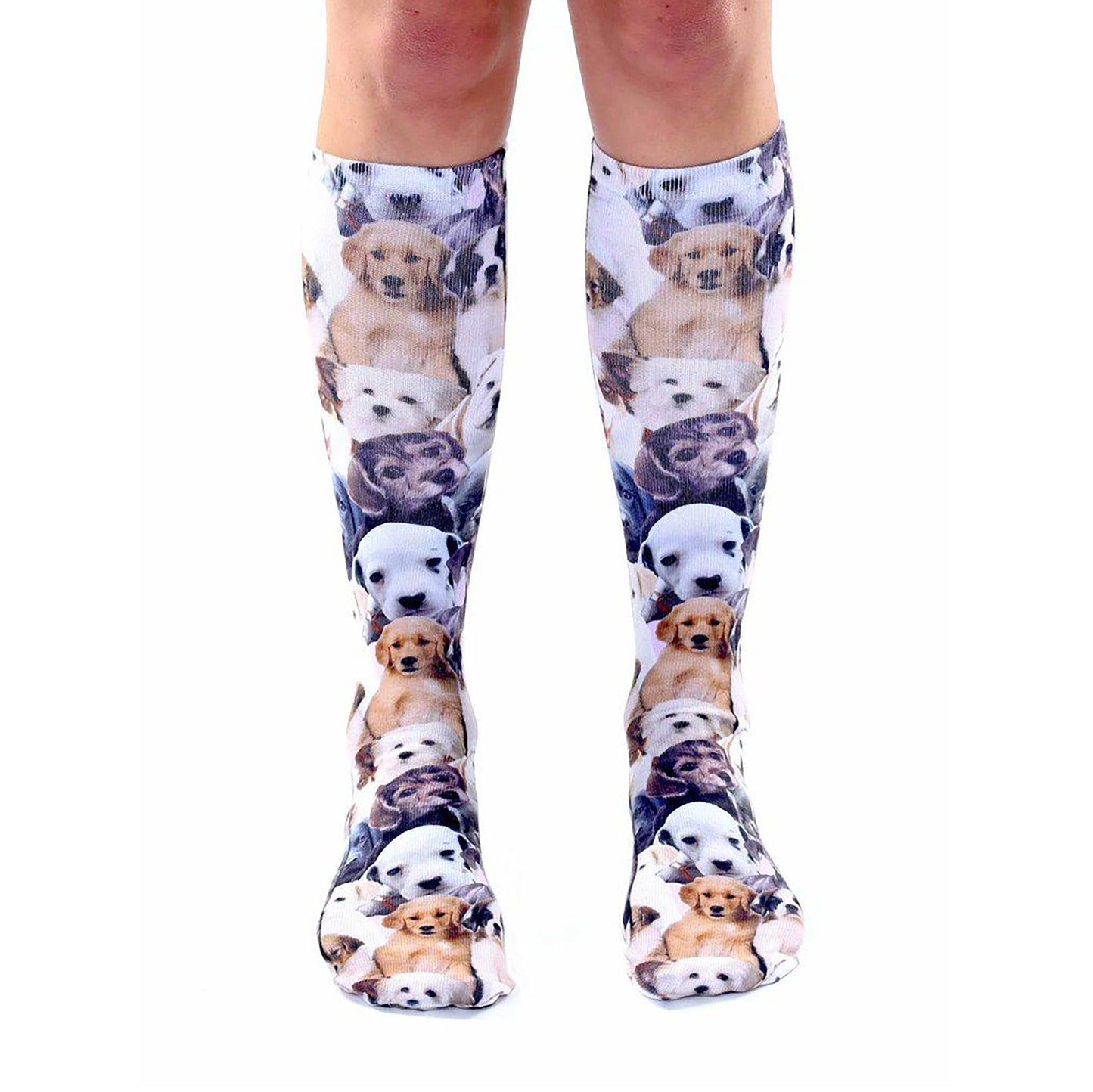 Puppy All Over Knee High Socks